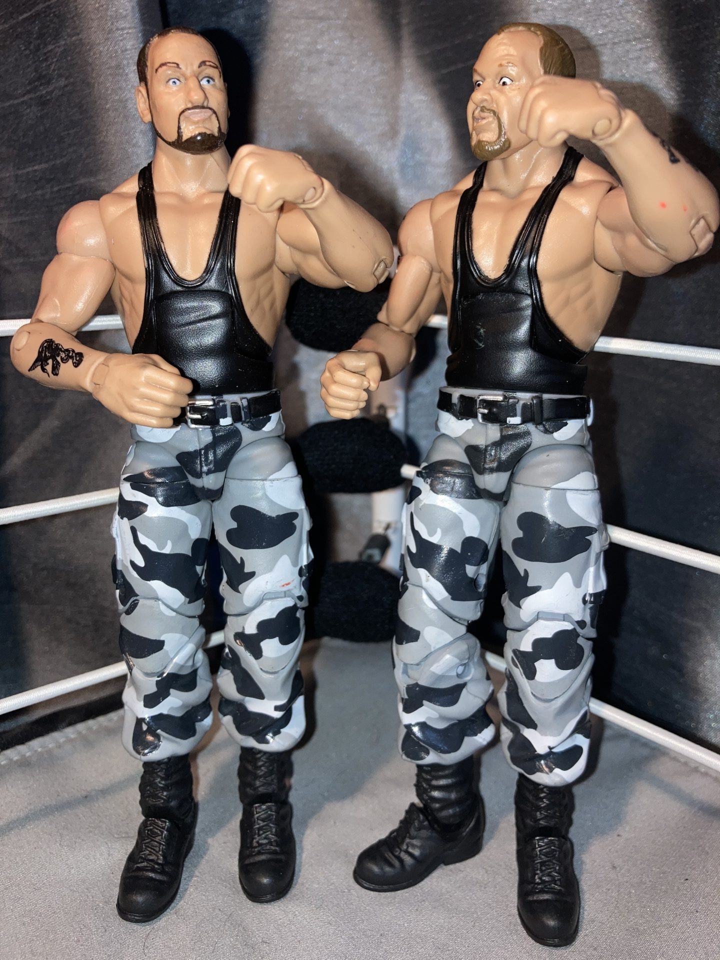 The Bushwhackers Wrestlers
